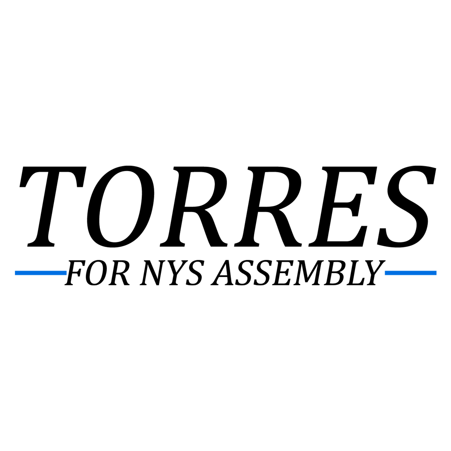  Torres NYS 84th Assembly